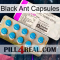 Black Ant Capsules new07